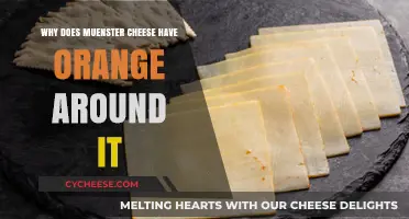 Why Muenster Cheese Has an Orange Rind: Explained