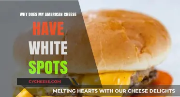 Why American Cheese Develops White Spots: Causes and Solutions Explained