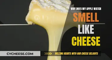 Apple Watch Stinks: Why the Cheesy Odor?