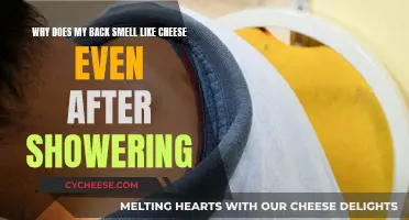 The Mystery of Cheesy Backs: A Post-Shower Conundrum