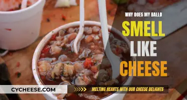 The Mystery of Cheesy-Smelling Body Odor