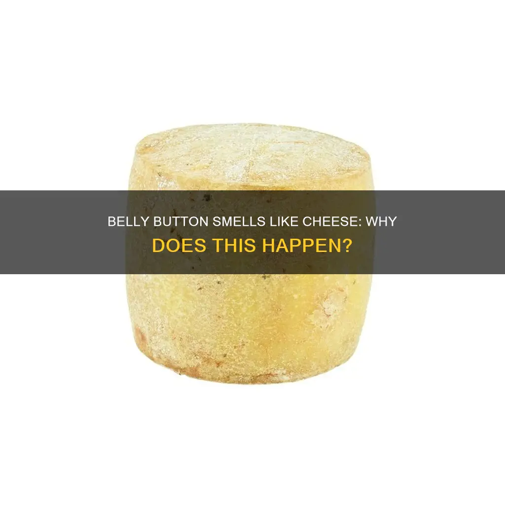 why does my belly button smell like cheese