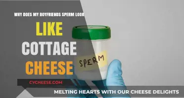 Why Does My Boyfriend's Sperm Look Like Cottage Cheese?