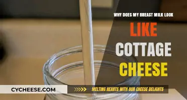 Why Breast Milk Can Look Like Cottage Cheese: Causes and Concerns