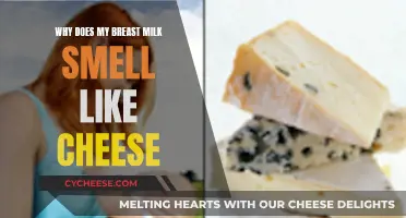 Breast Milk Smelling Cheesy: What's the Reason?