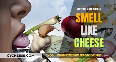 The Mystery of Cheesy Breath: Causes and Cures