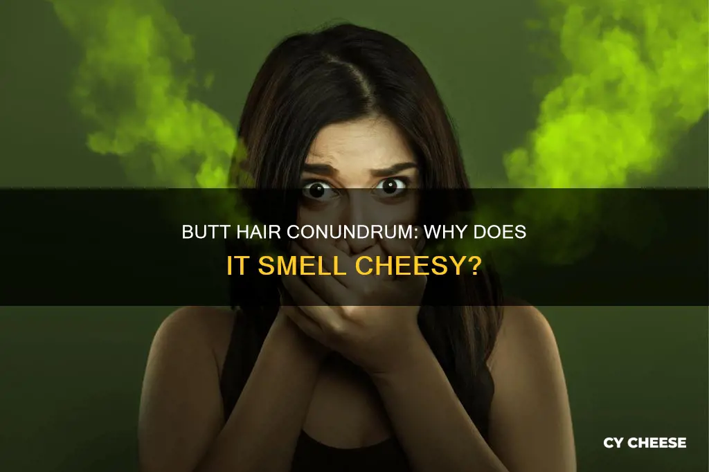 why does my butt hair smell like cheese