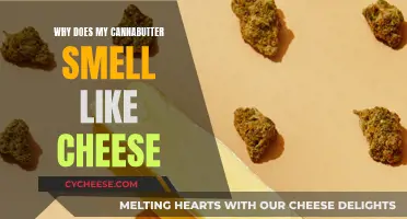 Cannabutter's Cheesy Smell: Why Does It Happen?
