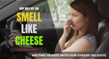 Cheesy Car: Why Does My Car Smell Like Cheese?