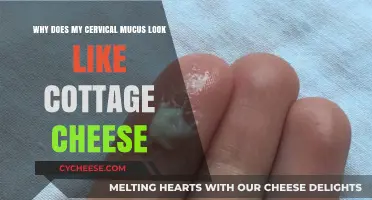 Understanding Cottage Cheese-Like Cervical Mucus: Causes and Concerns
