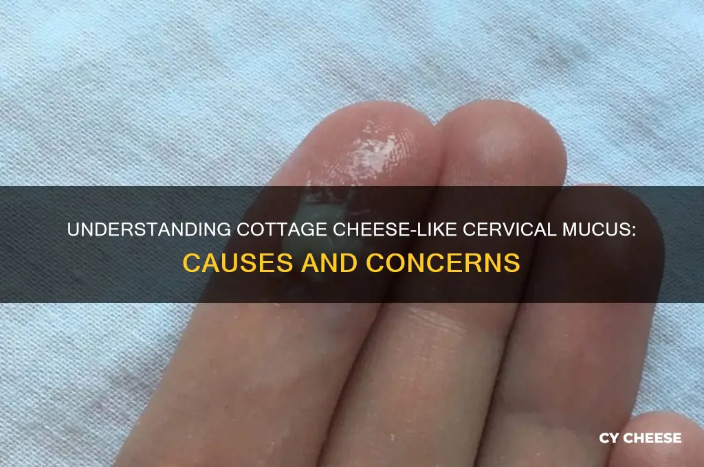 why does my cervical mucus look like cottage cheese