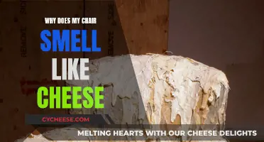 Cheesy Chair Conundrum: Why the Pungent Smell?