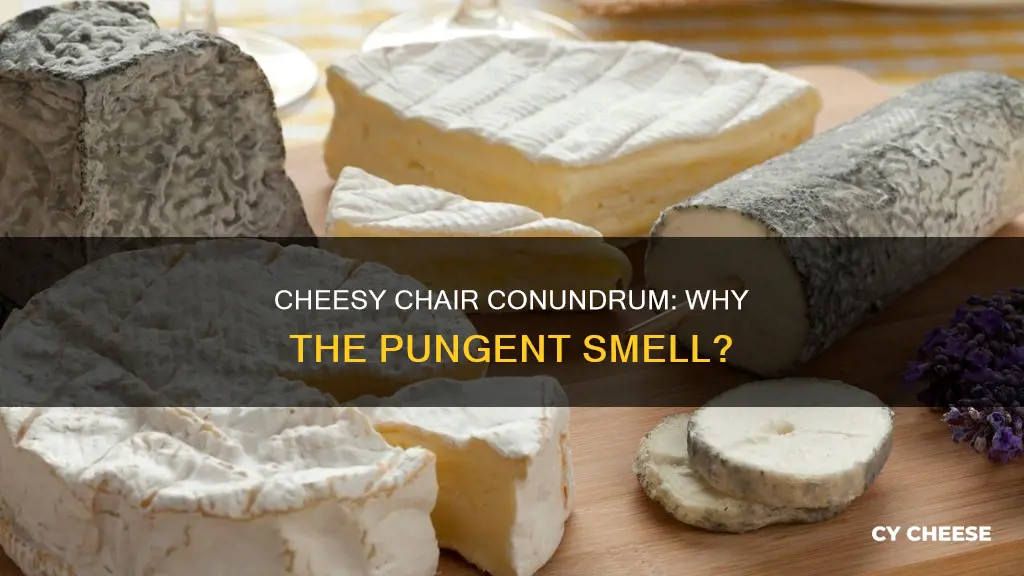 why does my chair smell like cheese