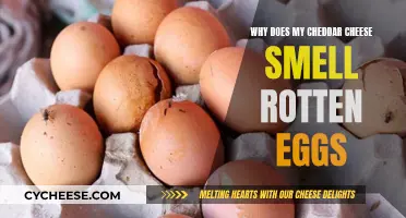 Cheddar Cheese's Rotten Egg Smell: Why?