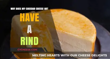 Why Cheddar Cheese Lacks a Rind: Uncovering the Cheesy Truth