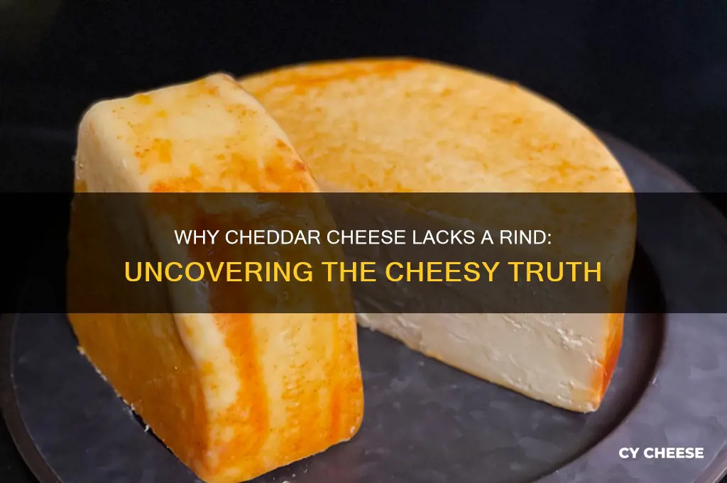 why does my cheedar cheese not have a rind