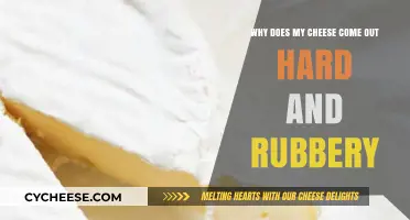 Why Your Cheese Turns Hard and Rubbery: Common Mistakes and Fixes