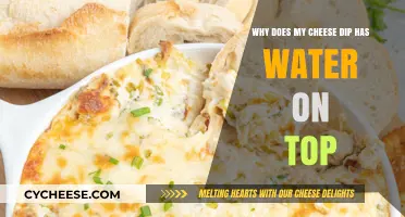 Why Does My Cheese Dip Have Water on Top? Explained