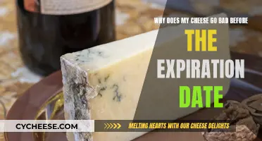 Cheese Expiration: Why Does It Go Bad Early?