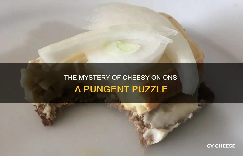 why does my cheese smell like onions