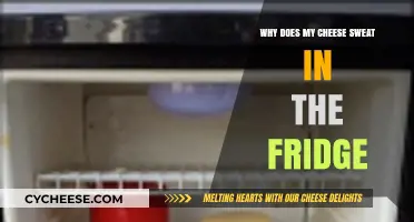 Why Does My Cheese Sweat in the Fridge? Explained