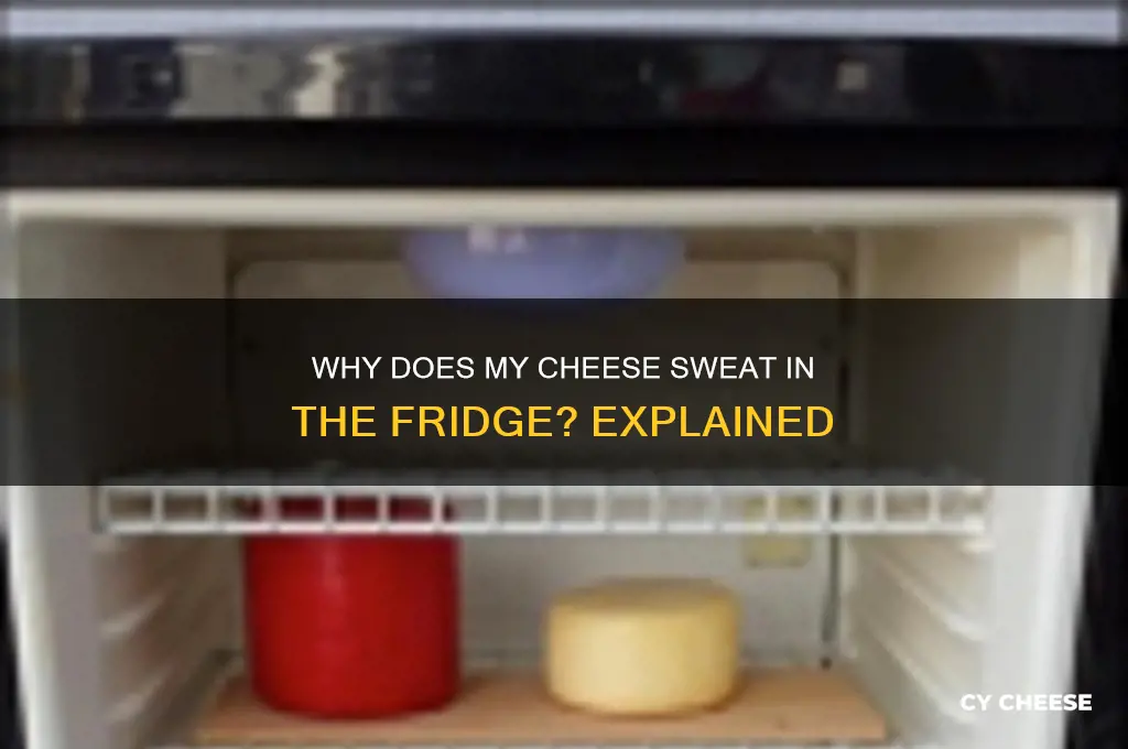 why does my cheese sweat in the fridge
