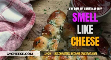Christmas Tree Whiff: That Cheesy Smell Explained