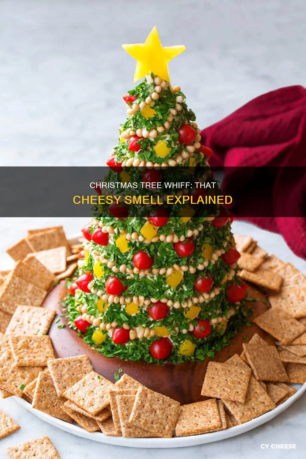 why does my christmas tree smell like cheese