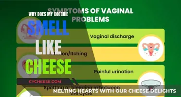 Understanding the Cheesy Coochie Conundrum
