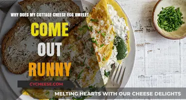 Mastering Cottage Cheese Omelets: Solving the Runny Egg Dilemma