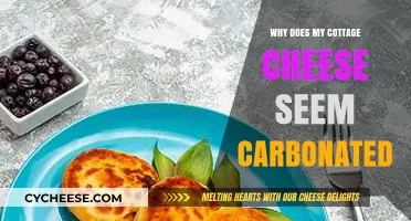 Why Cottage Cheese Fizzes: Unraveling the Carbonation Mystery