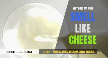 The Mystery of Cheesy-Smelling Semen: Why Does it Happen?