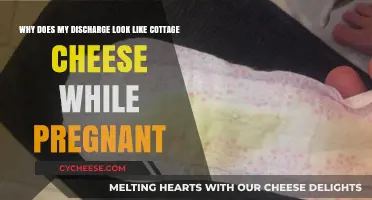 Pregnancy Cottage Cheese Discharge: Causes, Concerns, and When to Seek Help