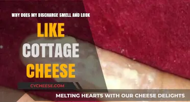 Cottage Cheese-Like Discharge: Causes, Concerns, and When to Seek Help