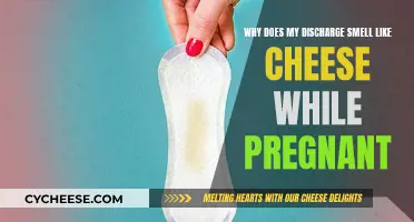 Pregnancy Discharge: Cheese Odor Explained