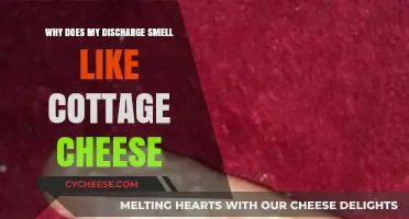 Cottage Cheese-Like Discharge Smell: Causes, Concerns, and Solutions Explained