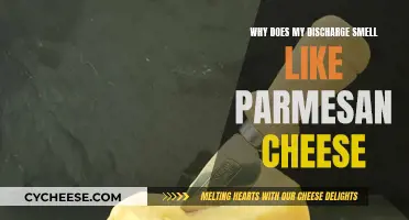 Vaginal Discharge: Parmesan Cheese Odor Explained