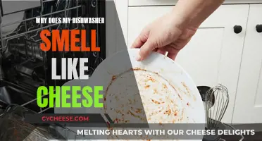 Dishwasher Smells Like Cheese? Here's Why and How to Fix It