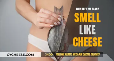 Understanding the Cheese-Like Odor Emanating From the Vagina