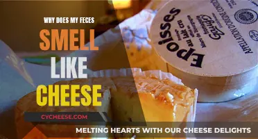 Cheesy Feces: What Your Poop's Odor Could Mean