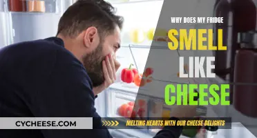 Cheesy Fridge: Why Does It Smell?