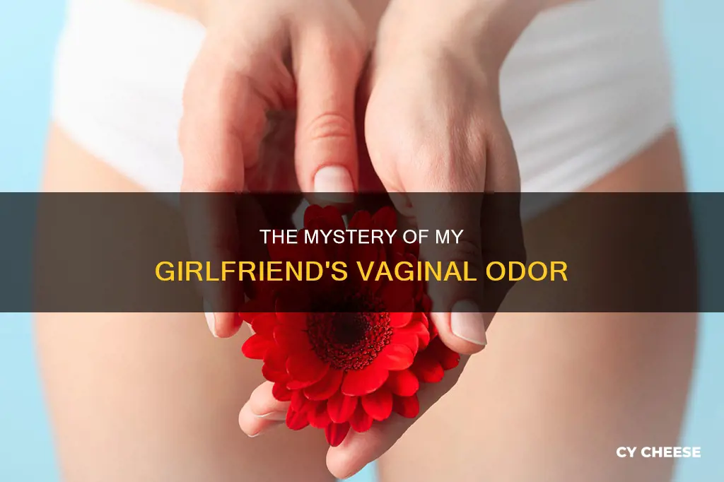 why does my girlfriend