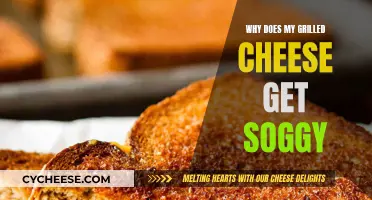 Grilled Cheese Gone Wrong: Soggy Sandwich Solutions