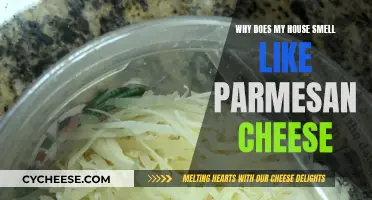 The Parmesan Smell Mystery: Solving the Stinky House Conundrum