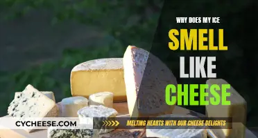 Ice Smells Cheesy: What's the Science Behind It?