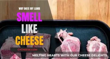 Lamb's Cheesy Aroma: Why It Smells Like Cheese