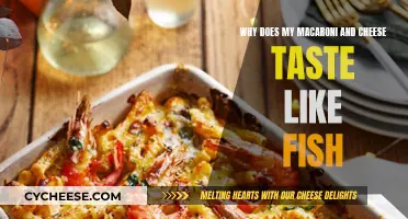 Mac and Cheese Taste Like Fish: Why?