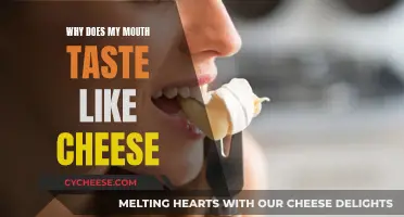 The Mystery of Cheesy Mouth Taste: Why?