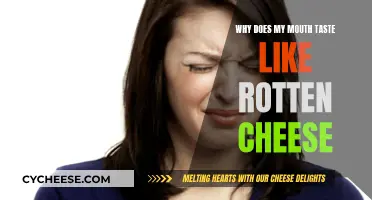 The Mystery of the Rotten Cheese-Tasting Mouth
