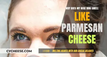 The Nose Ring's Parmesan Cheese Smell Mystery
